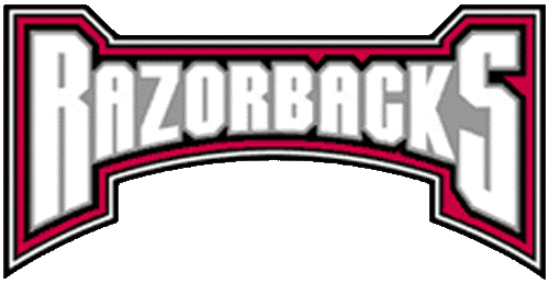 Arkansas Razorbacks 2001-2008 Wordmark Logo t shirts DIY iron ons v5